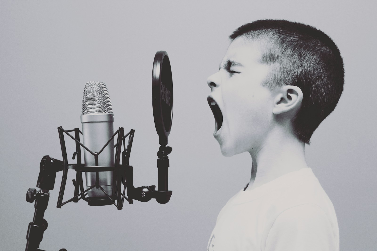 Honing Your Authorial Voice