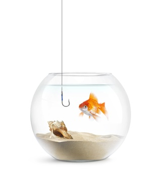First Lines that Lure – How to Hook Readers from Page One