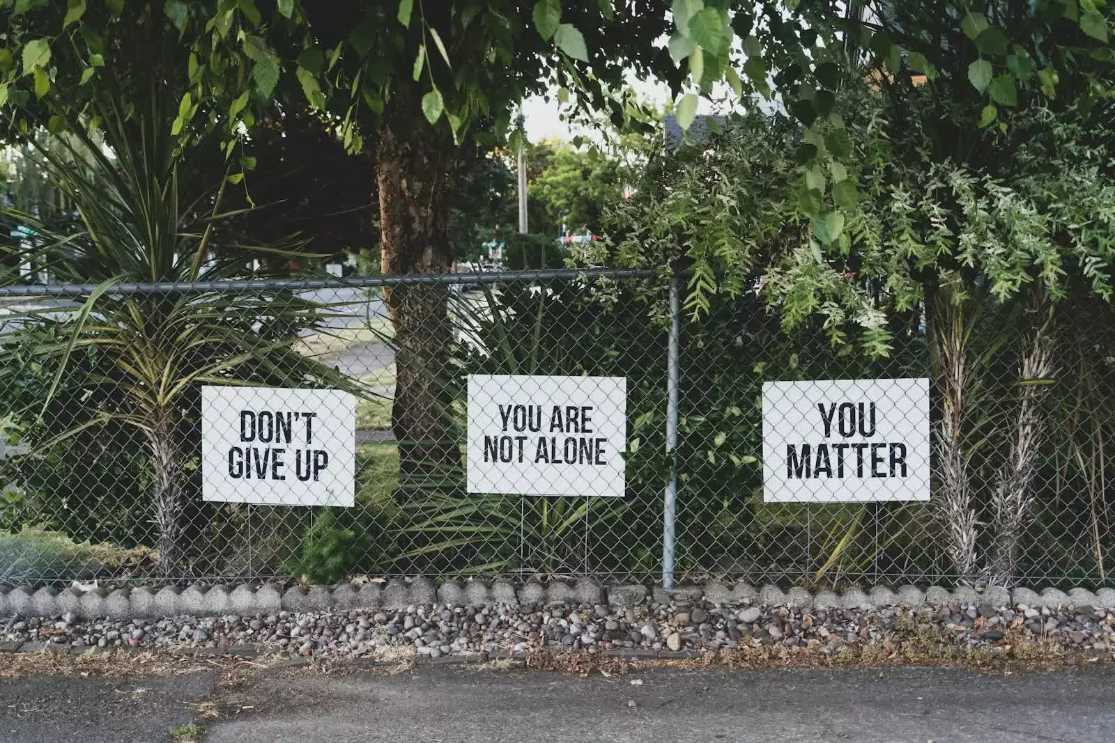 The Truth About Querying: Why Persistence Matters More Than You Think